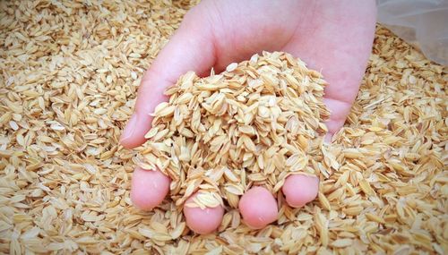 Close-up of hand holding bread