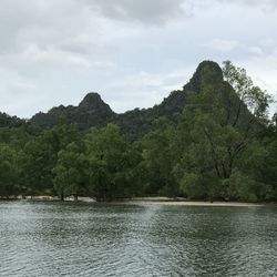 Scenic view of river by trees against sky