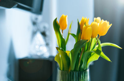 Bouquet of yellow tulip flowers in vase in domestic room