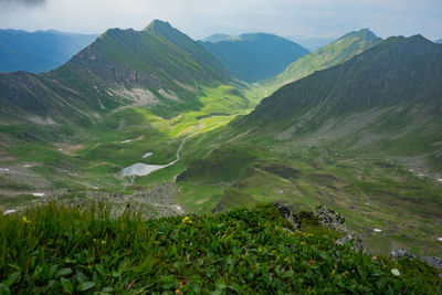 Summer view from the top of fagaras mountains