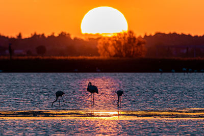 Silhouette people at sunset