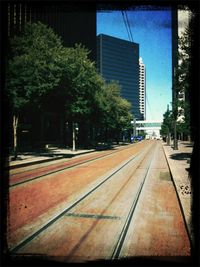 Walkway along trees in city