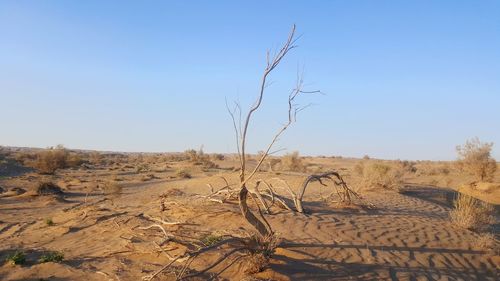 Scenic view of desert against clear sky