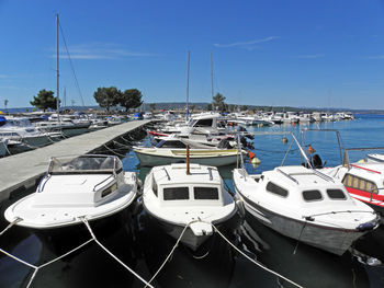 Boats moored at harbor against clear sky