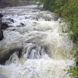 Scenic view of waterfall