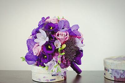 Close-up of colorful flowers against white background