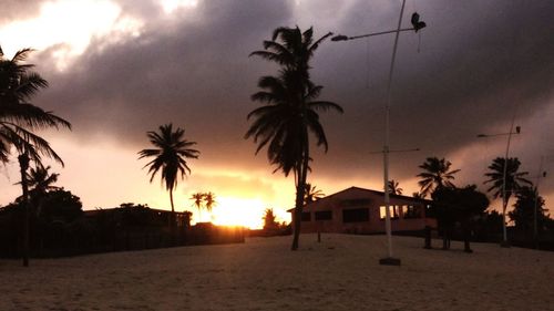 Silhouette palm trees on beach against sky at sunset