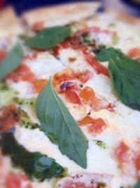 Close-up of food in plate