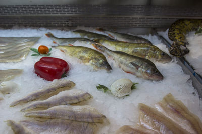 High angle view of fish for sale in market