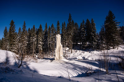 Snow covered trees against clear blue sky