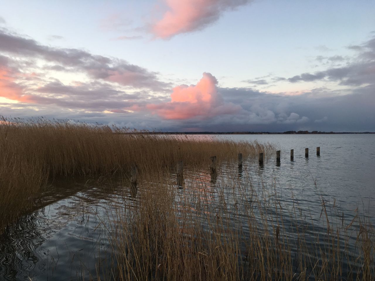 water, reflection, lake, nature, sky, wetland, landscape, tranquility, cloud - sky, beauty in nature, no people, outdoors, sunset, scenics, reed - grass family, marsh, day