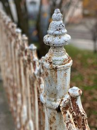 Rusty fence