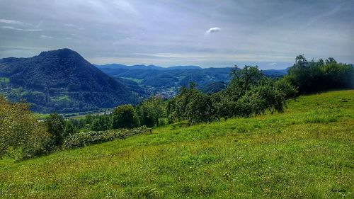 Scenic view of landscape against sky