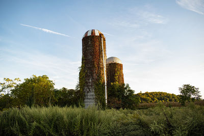 Silo garden 