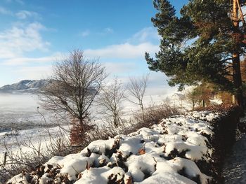 Bare trees on snow covered landscape against sky