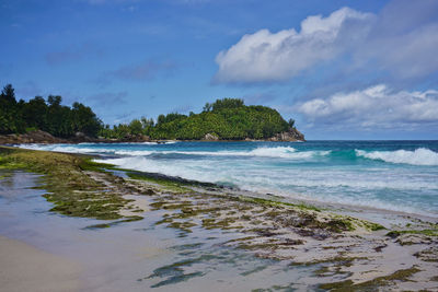 Scenic view of beach against sky
