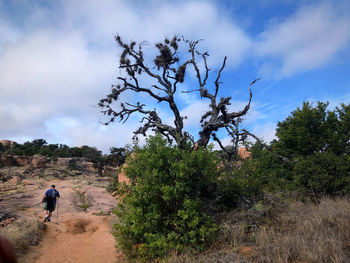 Rear view of man walking on land against sky