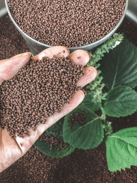 High angle view of hand holding bread