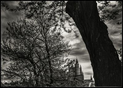 Low angle view of bare trees against sky