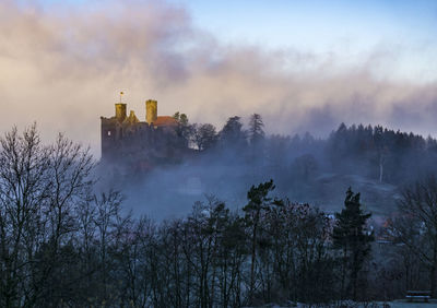 Foggy morning