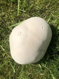 High angle view of ball on field