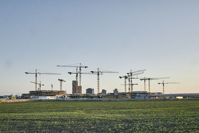 Cranes on field against clear sky