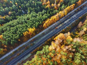 High angle view of road amidst trees in forest