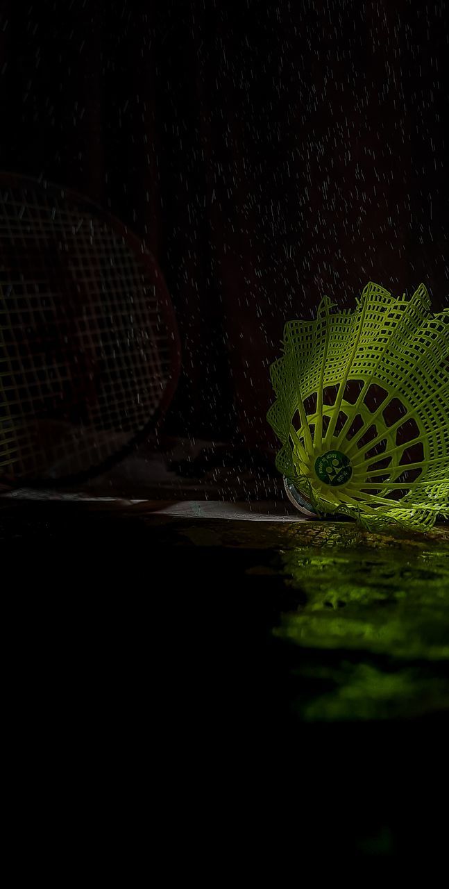 darkness, green, night, no people, light, water, reflection, leaf, nature, macro photography, dark, outdoors, plant, close-up, black background