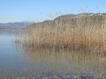 Scenic view of lake against clear sky