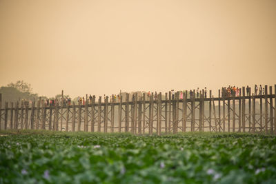 Fence on field against clear sky during sunset