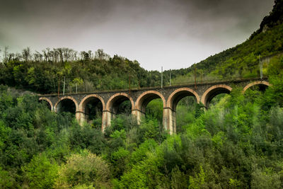 Low angle view railway bridge amidst trees against cloudy sky