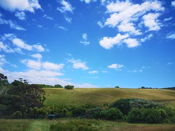Scenic view of agricultural field against sky