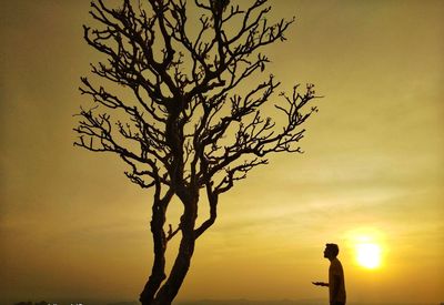 Silhouette bare tree against sky during sunset