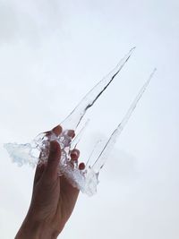 Close-up of hand holding ice against white background