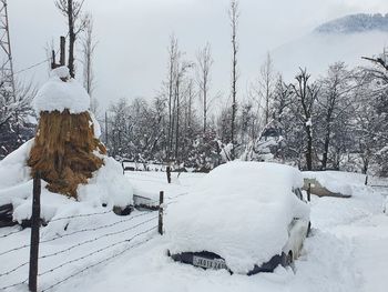 Snow covered land and trees on field