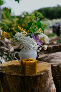 Close-up of drink on table