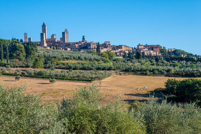 Plants and buildings in city against clear blue sky