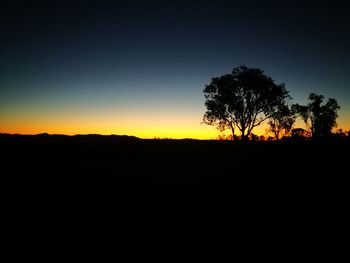 Silhouette trees on field against clear sky during sunset