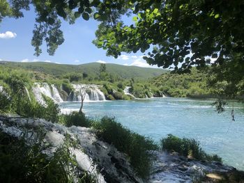 Scenic view of river amidst trees against sky