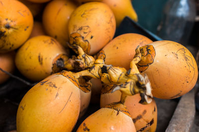 High angle view of pumpkins in market