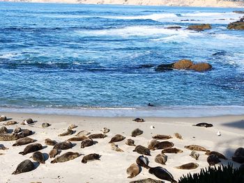 Scenic view of sea shore