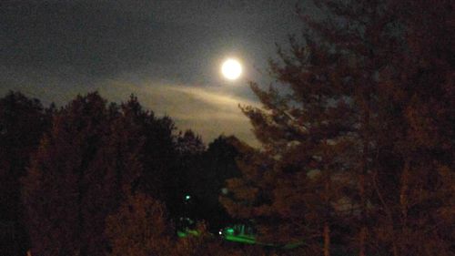 Low angle view of moon in sky