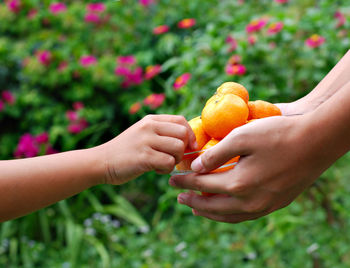 Close-up of hand holding bowl of fruit