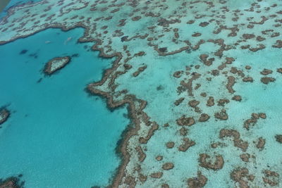 From above of great barrier reef in australia