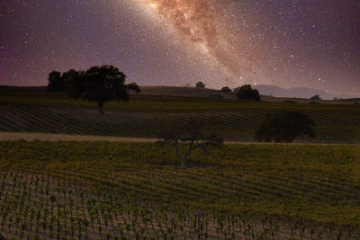 Scenic view of field against sky at night