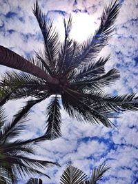 Low angle view of palm trees against cloudy sky