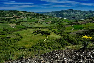 Scenic view of agricultural field against sky