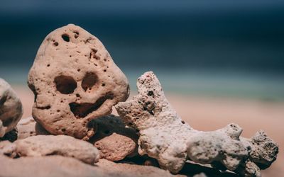 Close-up of rocks on beach