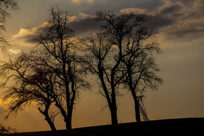 Low angle view of silhouette bare tree against sky during sunset
