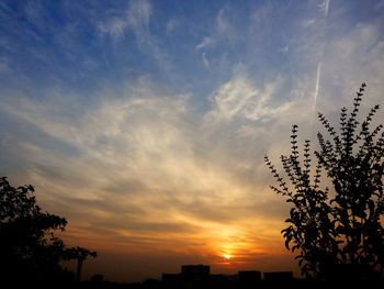 Silhouette of trees at sunset